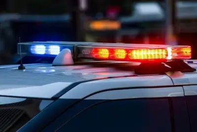 Bucks County farm owner accused of animal cruelty returned to the U.S.