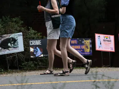There’s an upcoming election in Somerville, and the claws are out