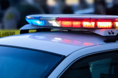 Burglars steal musical instrument, shotgun shells from Saratoga residence