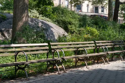 Extra Extra: The Bench Bunch won't budge