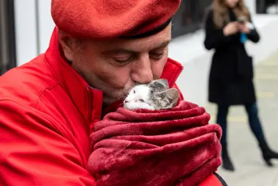Early Addition: Trump not a fan of Curtis Sliwa's cats moving into 'magnificent' Gracie Mansion