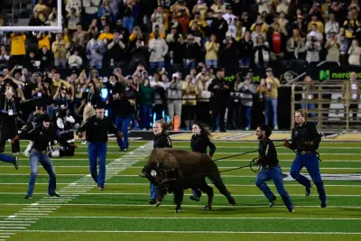 CU Buffs reprimanded, fined by Big 12 for chants by fans during BYU game