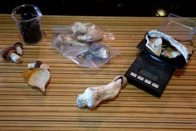 New York state already legalized marijuana. Could magic mushrooms be next?
