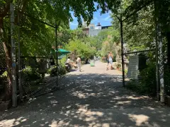 Elizabeth Street Garden will be evicted if Mamdani makes good on campaign promise