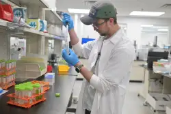 Colorado to spot-check marijuana products for contamination
