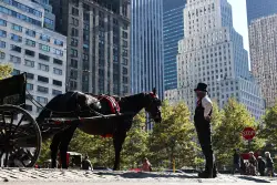 Mayor Adams calls to ban carriage horses in NYC, replace them with electric cars