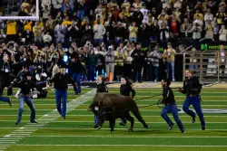 CU Buffs reprimanded, fined by Big 12 for chants by fans during BYU game