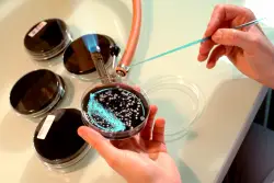 More testing alone won't prevent Legionnaires' outbreak, public health experts say